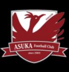 飞鸟FC